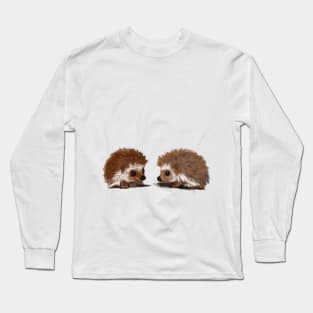 baby hedgehogs Long Sleeve T-Shirt